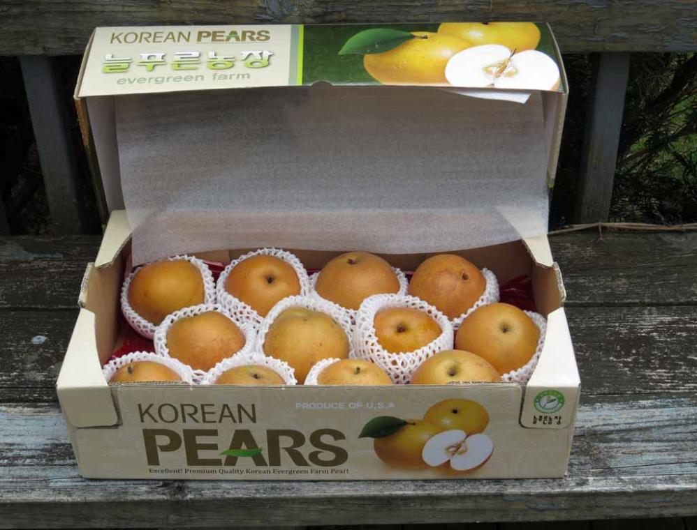 Korean pears