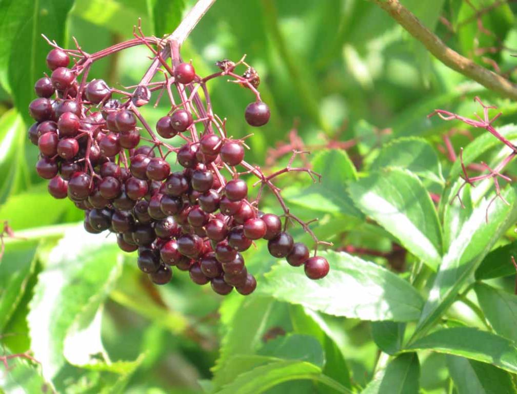 Earth Center Open House in South Brunswick in New Jersey