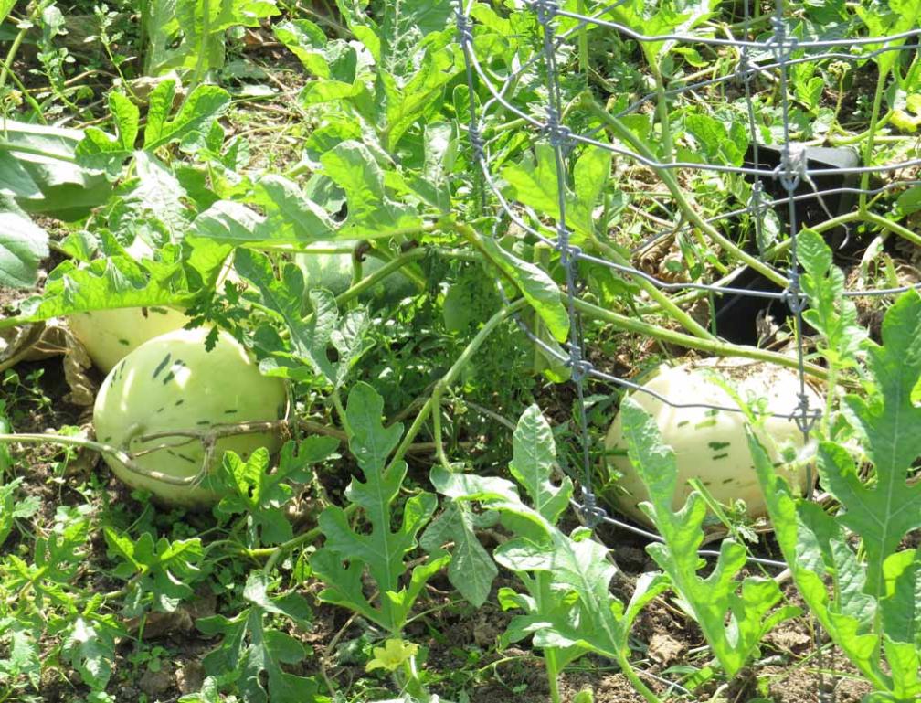 Earth Center Open House in South Brunswick in New Jersey