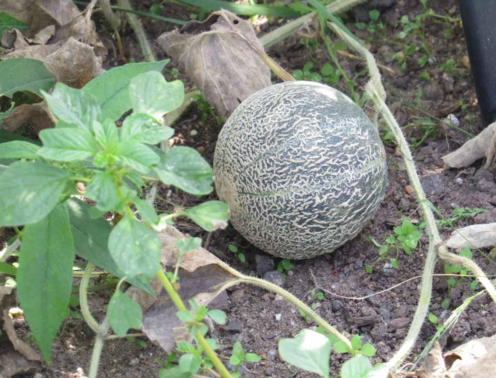 Earth Center Open House in South Brunswick in New Jersey