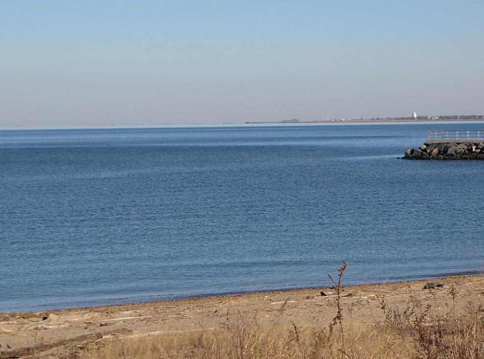 Winter Bird Watching in Raritan Bay Waterfront Park in South Amboy