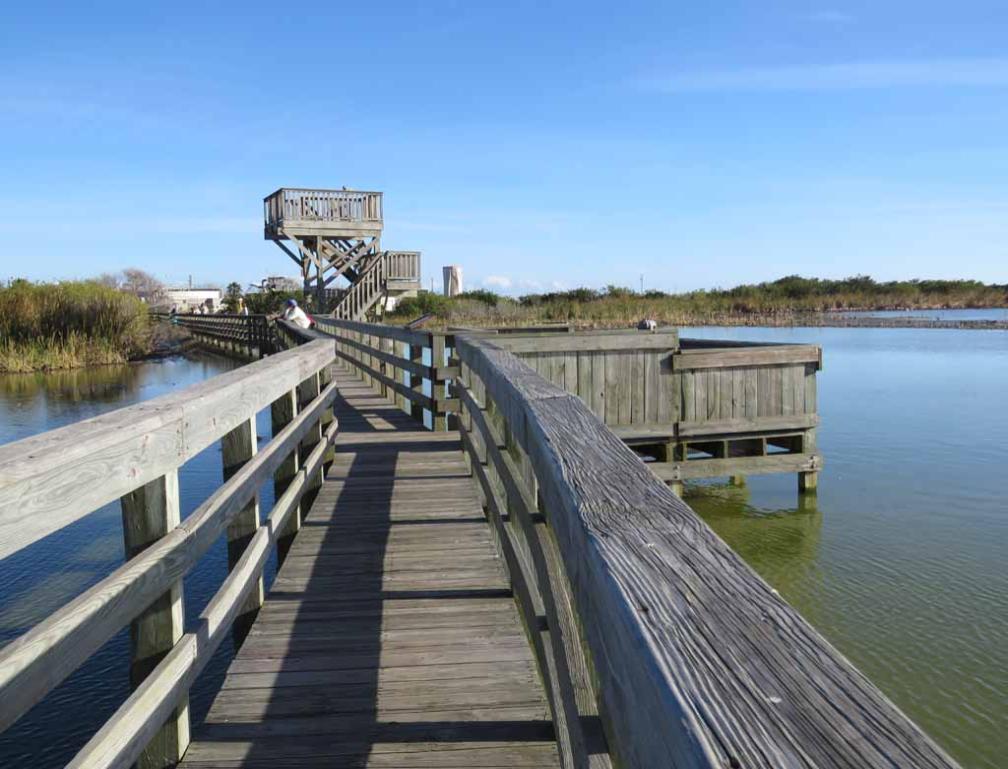 Boardwalk and Observation tower