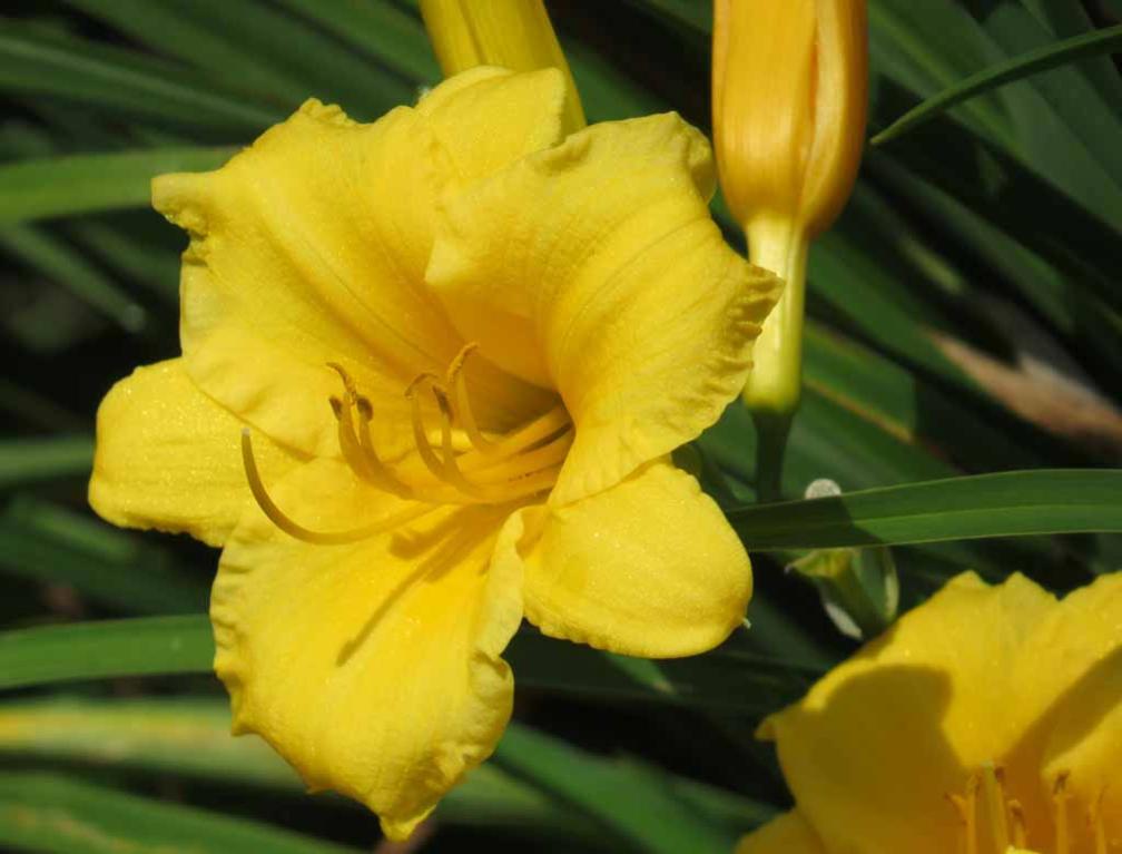 Earth Center Open House in South Brunswick in New Jersey