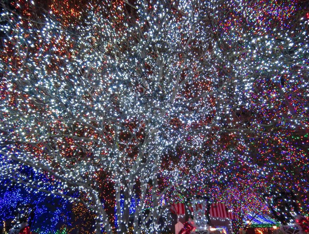 Fantastic Christmas Lights in San Francisco Bay Area