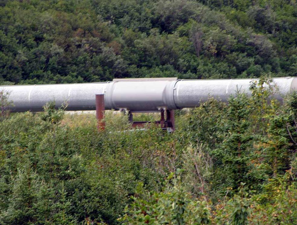 Alaskan pipeline dildo — pic 2