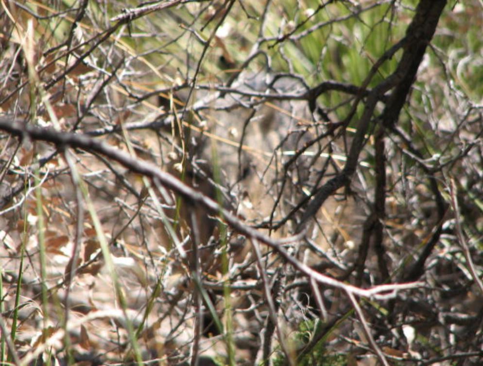 Tour of New Mexico and Texas